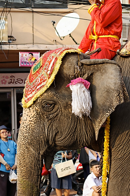 Lopburi King Narai fair-065